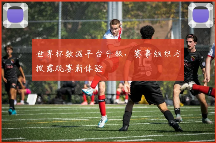 世界杯数据平台升级,赛事组织方披露观赛新体验