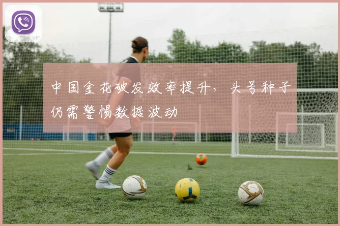 中国金花破发效率提升，头号种子仍需警惕数据波动