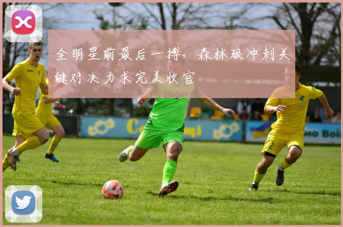 全明星前最后一搏,森林狼冲刺关键对决力求完美收官