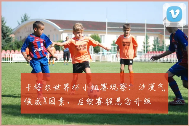 卡塔尔世界杯小组赛观察:沙漠气候成X因素,后续赛程悬念升级