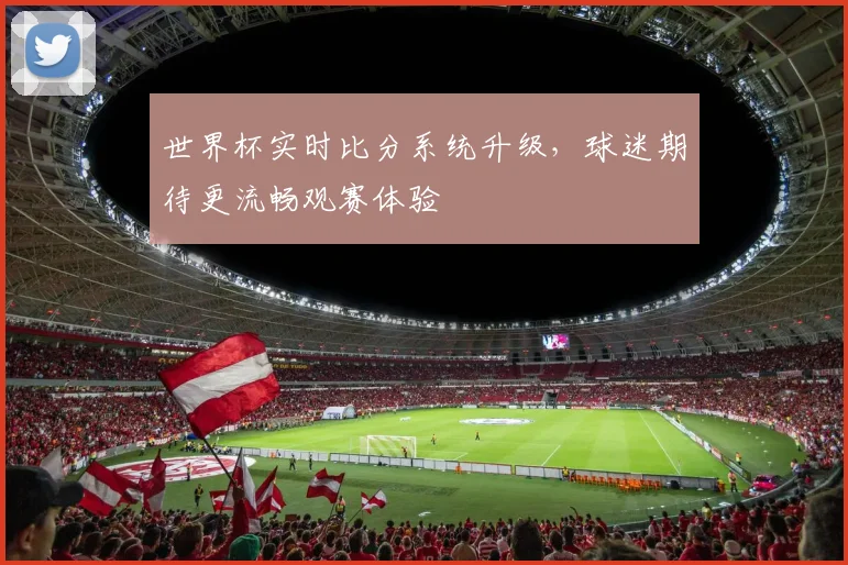 世界杯实时比分系统升级,球迷期待更流畅观赛体验